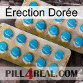 Érection Dorée new08